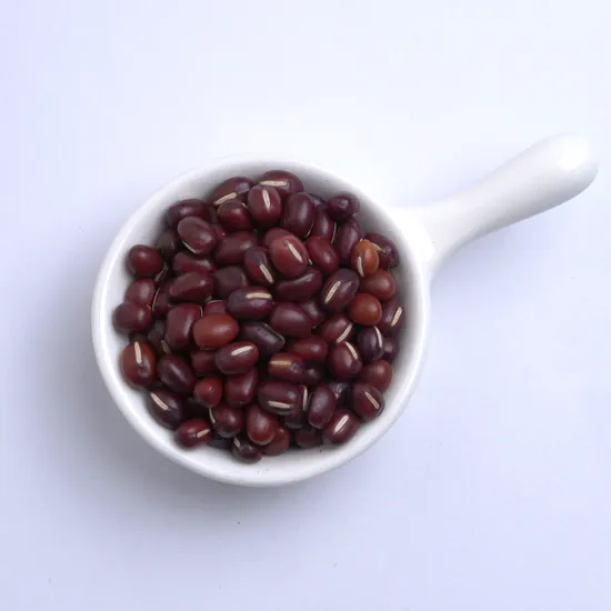 Natural Taste Beans Authentic Chinese Small Red Bean for Export