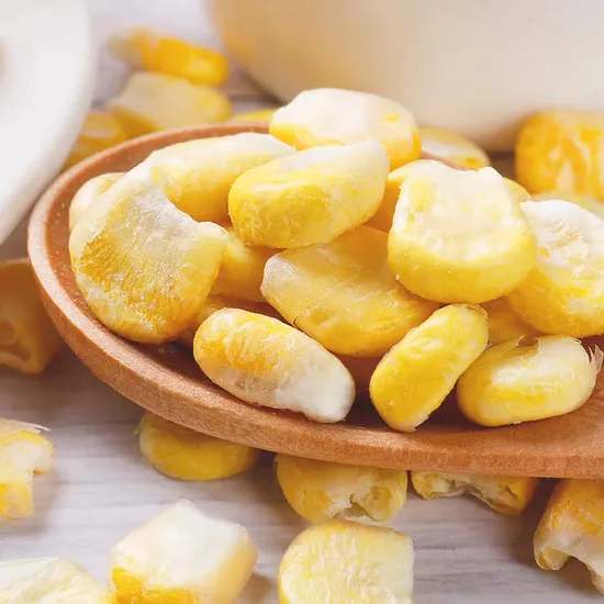 Dry Maize/Dried Yellow Corn/Dried Sweet Corn/ Kernel