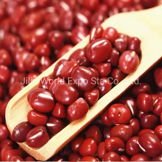 High Quality Dried Red Beans 6.0mm From Chinese Factory