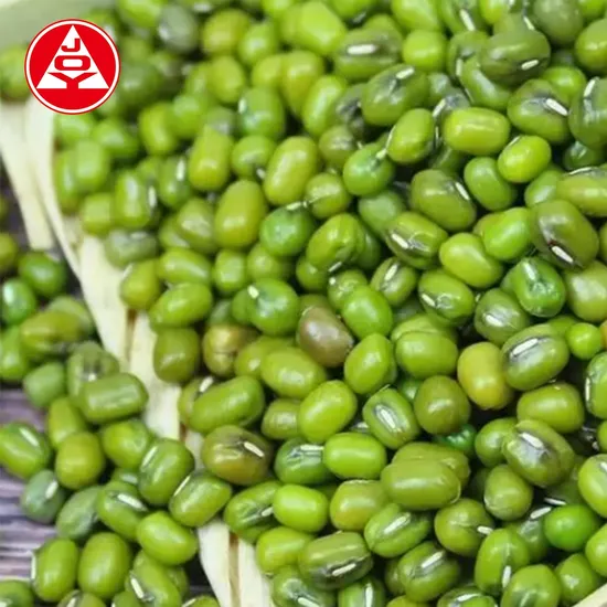 High Quality Healthy Snack Freeze Dried Vegetable Mung Beans