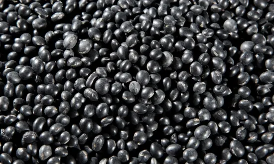 Broad Bean with Gogo Trademark