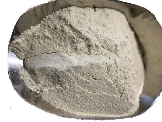 China Manufacturer High Quality Organic Wheat Gluten