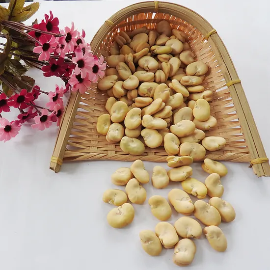 New Crop Fava Beans with Top Quality Peeled Whole Broad Beans