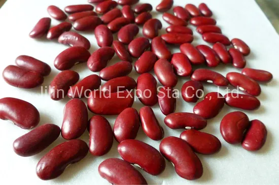 Dried Red Kidney Beans 180-200 From Professional Factory to Export