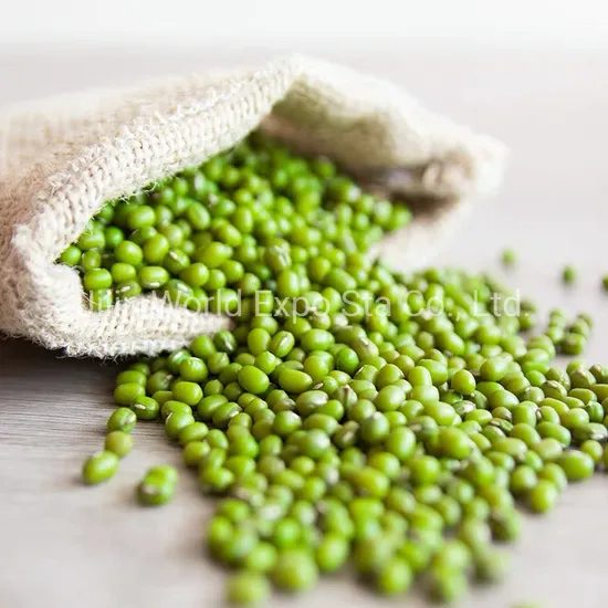 Factory Direckly Supply Dried Green Beans for Food From China