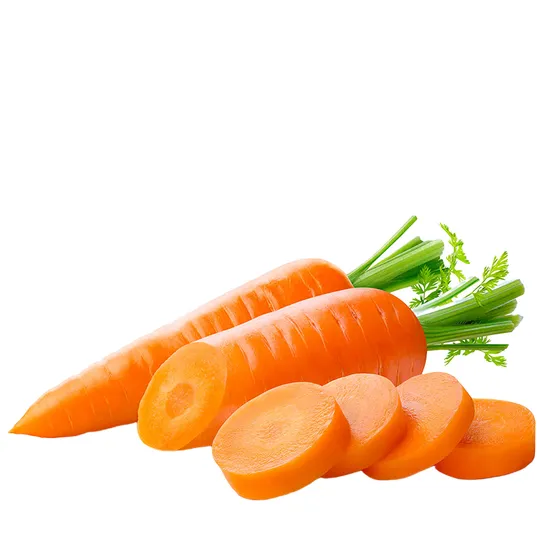 Chinese Products/Suppliers High Quality Chinese New Crop Fresh Carrot for Export
