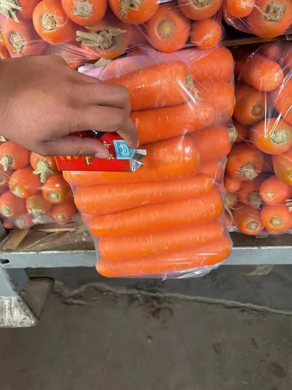 New Season Fresh Carrots Red Carrots Wholesale Cheap Price