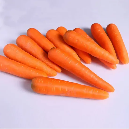 2024 New Arrival Carrot Exporter From Chinaoriginal From Shandong China
