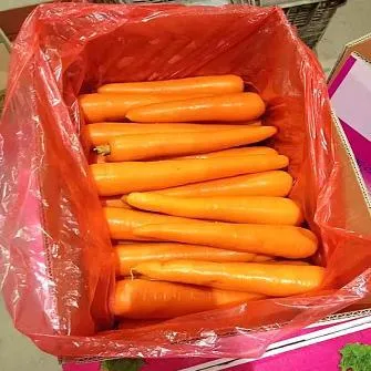 Shandong Best Quality for Wholesale Price Fresh Carrot
