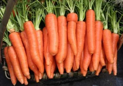 2021 New Carrot 150g & up Fresh Red Carrot