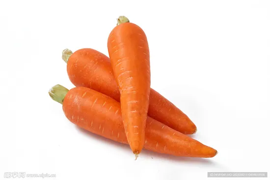 Fresh Carrot Directly From The Original Competitive Price