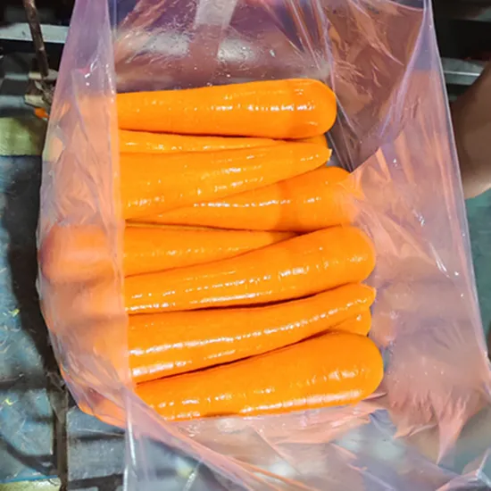 Fresh High Quality Carrot with Good Price