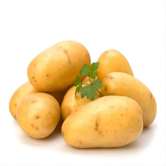 Fresh Potato High Quality Potato Wholesale Price Potato for Export
