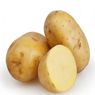 High Quality Fresh Vegetable with Low Price Potato