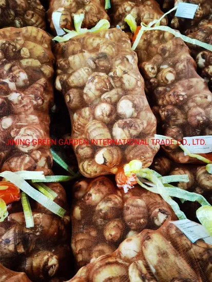 Chinese Fresh Taro 60 Grams up Into One 5 Kg Mesh Bag Best Price and Best Quality