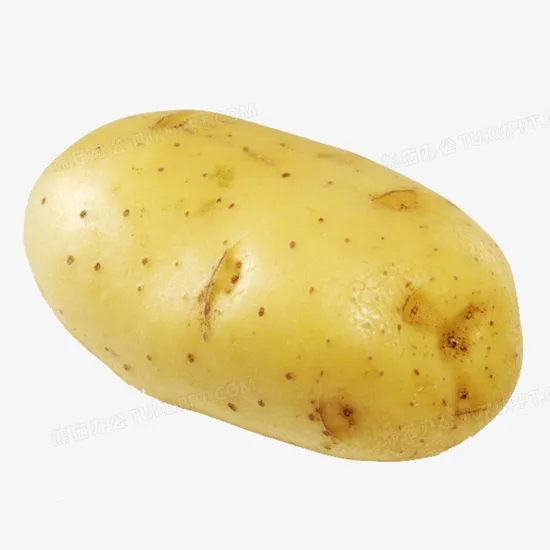 Fresh Potatoes All Variety From China Newest Crop with High Quality for Export