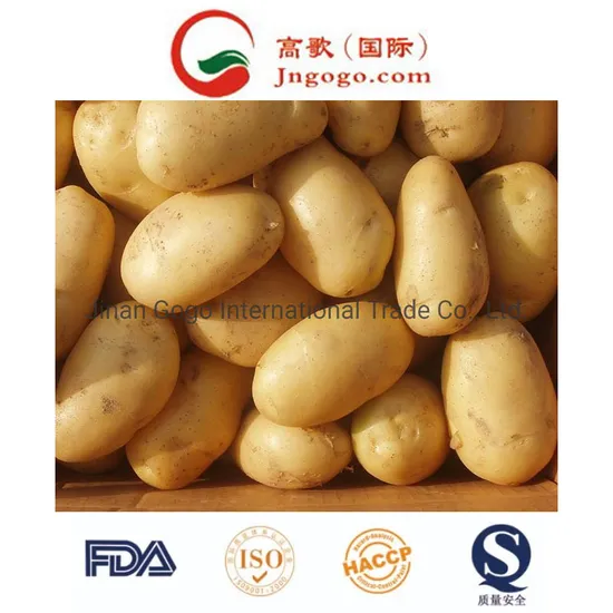 Gogo Yellow Potatoes Size 50-100g