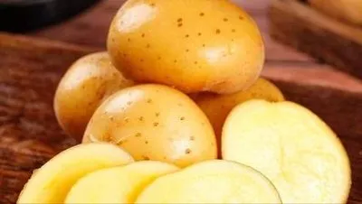 China New Crop Fresh Potatoes for Export