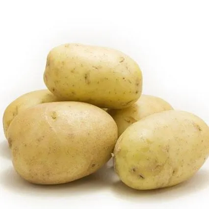 2025 New Crop Fresh Normal Wholesale Price Potato