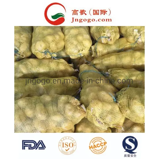 Premium Holland Potato Starch