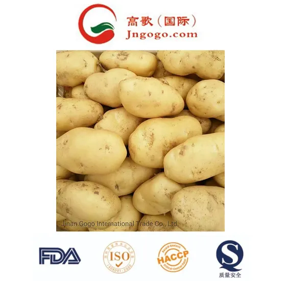 Gogo Fresh Vegetables (150g and up)