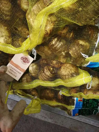 2020new Crop Fresh Taro (50-80g) with Mesh Bags Packing