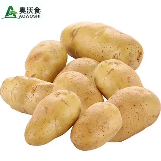 Chinese Fresh Potato for Export