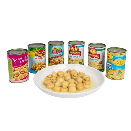 China Factory Food Fresh Mushroom Whole with Cheapest Price