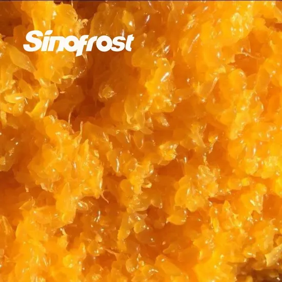 Wholesale Supplier of Mandarin Orange Sacs in Syrup Tangerine Variety for Bulk Orders