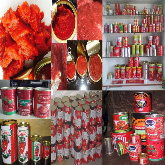 Xinjiang Tomato Paste Concentration 28-30% Hot Break 220L in Drum
