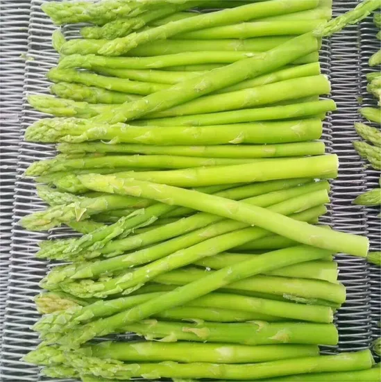 Top Quality Frozen Green Asparagus Spears, Whole Spears Asparagus