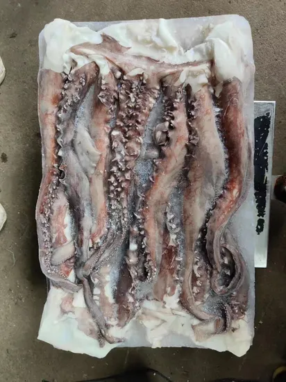 Frozen Seafood Gigas Squid/Calamar Tentacle/ Pota/Sotong Tentacle