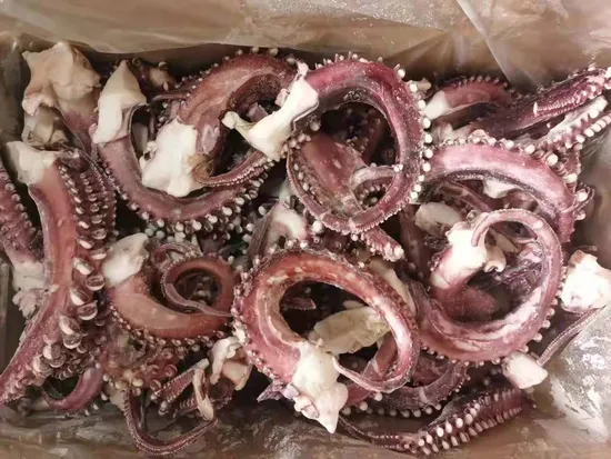 Frozen Seafood Gigas Squid/Calamari Tentacle/Pota/Sotong Tentacle