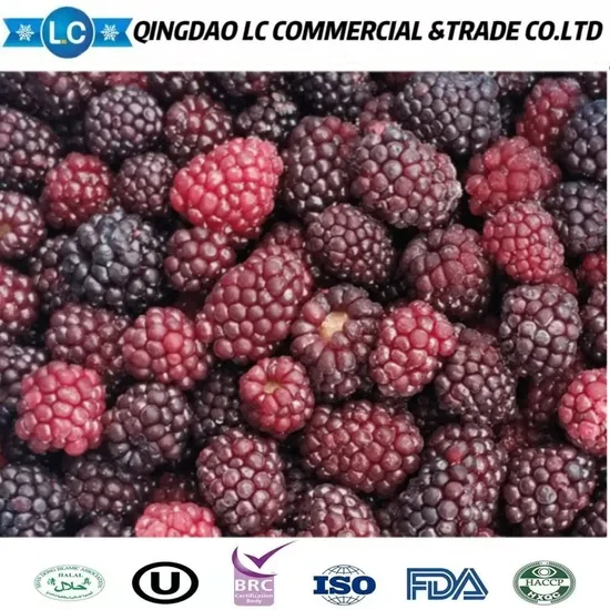 High Quality Bulk Frozen Fruit Blackberry Price Per Ton