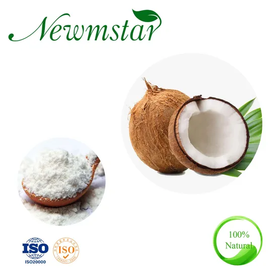 Natural Pure Coconut Water Powder Coconut Milk Powder Coconut Concentrate Powder Beverage Use