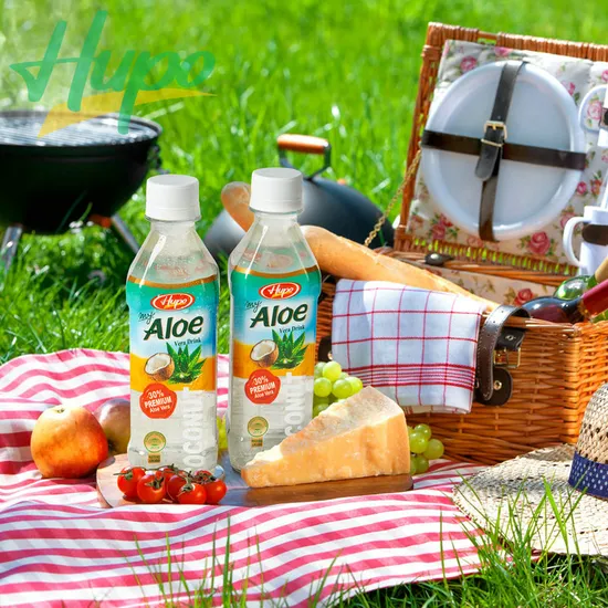 Fruit Juices Aloe Vera Drink Export to Many Countries with Several Flavours