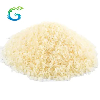 Hot Sale Fish Gelatin Bulk Gelatin Powder Fish Gelatin in Factory Price