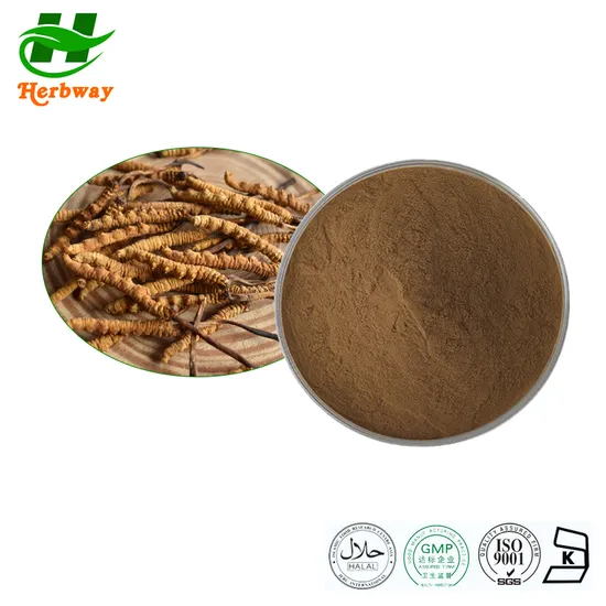 Herbway Kosher Halal Fssc HACCP Certified Cordyceps Mushroom Extract, Cordyceps Sinensis Extract Powder, Cordyceps Extract