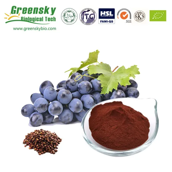 Pure Natural 95% Organic Grape Fruit Seed Extract 95% Polyphenols Vitis Vinifera Extract Plant Extract Herbal Extract Food Additive Antioxidant Yeast Extract