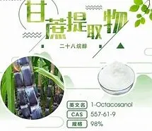 Good Quality and Competive Price of Natural Sugarcane Extract Octacosanol Powder