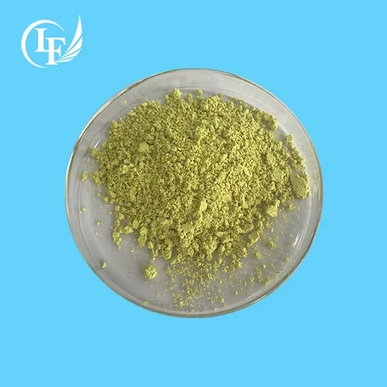 Pharmaceutical Grade Natural Sophora Japonica Extract Powder 98% Quercetin