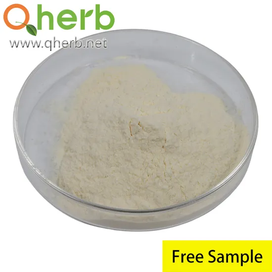 Polygonum Cuspidatum Extract Trans-Resveratrol 98% HPLC Free Sample Herbal Extract
