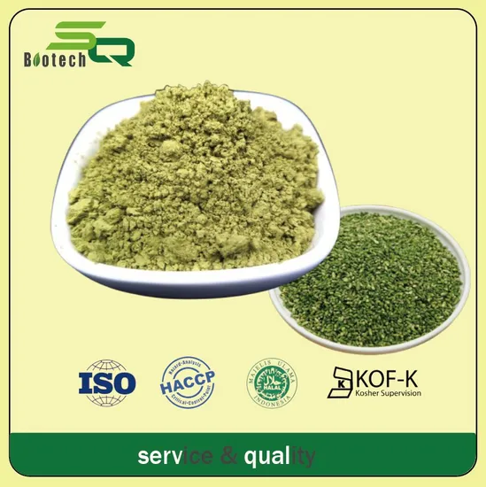 Natural Phlegm Reducer Sophora Japonica Extract Quercetin 95%