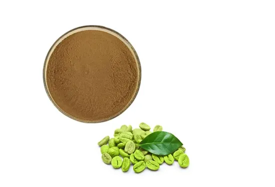 Hot Selling Green Coffee Bean Extract Powder with Chlorogenic Acid Green Coffee Bean Extract Arabica Powder