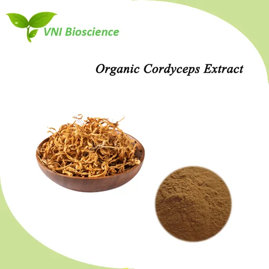 HACCP Natural Mushroom Polysaccharides Cordycepin Organic Cordyceps Sinensis Powder Extract