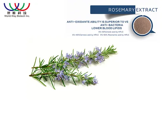 World-Way Biotech′s Water-Soluble Rosemary Extract: Harnessing The Power of Carnosic Acids