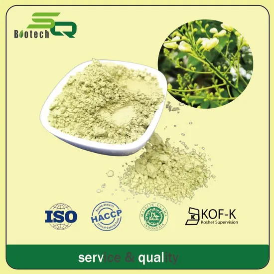 CAS 153-18-4 95% Rutin Sophora Japonica Extract USP Rutin