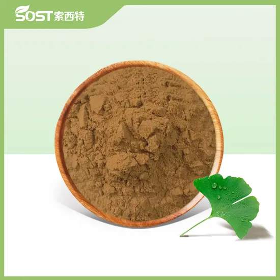 EU Organic Pure Ginkgo Biloba Extract Supplier