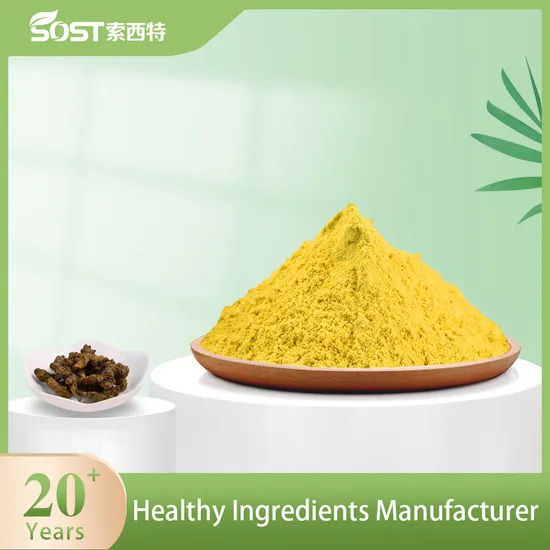 SOST Manufacture Supply Organic Phellodendron Bark Extract Berberine Hydrochloride Powder