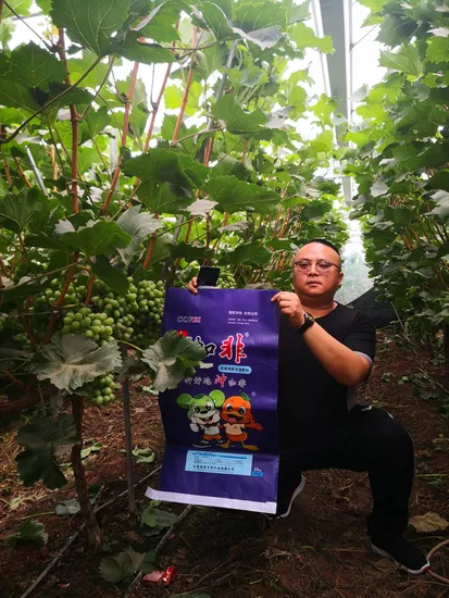 Organic Fertilizer Humic Acid Water Soluble Fertilizer for Agriculture Fruits Enhance Ability of Disease Resistance